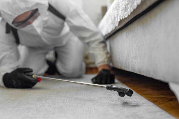 Professional Emergency Pest Control technician working in Cienegas Terrace, TX