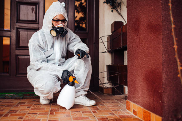 Reliable Emergency Pest Control contractor in Cienegas Terrace, TX by Nex Pest Control