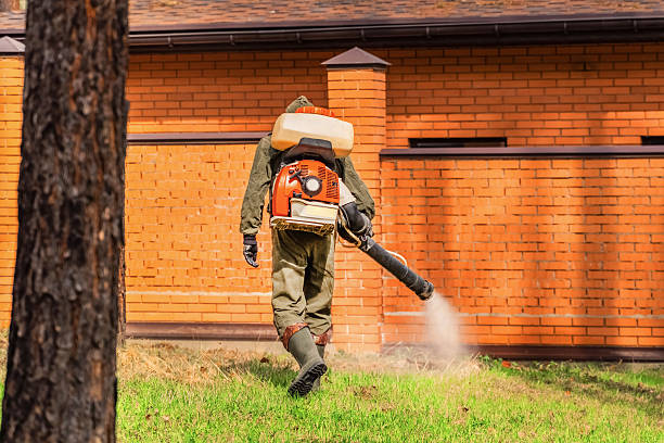 Trusted Termite Control service in Cienegas Terrace, TX - Nex Pest Control